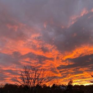 Meet your Posher, Sophia